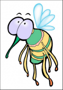 重庆杀虫公司教你让蚊子和苍蝇绕过