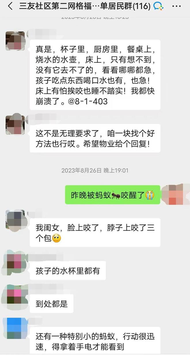 上床、进碗、钻沙发孩子梦中被咬醒！泰安有居民被蚂蚁咬得不轻(图5)