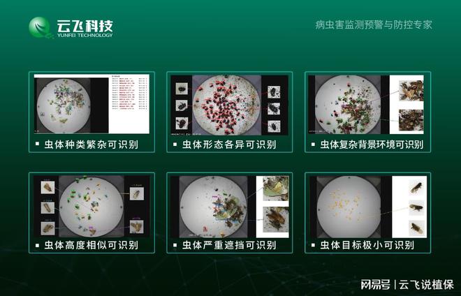 强调生态环保小虫体智能测报系统对农产品安全的积极意义(图3)