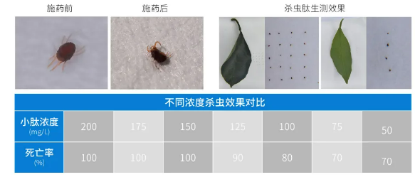 我国生物农药产业潜力涌动！这些细分赛道及其潜力企业备受瞩目(图5)