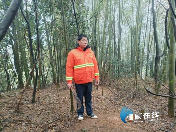 M6米乐平台：厚植生态文明底色长沙县北山镇这项工作获省级奖补